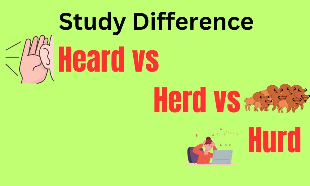 Heard vs Herd vs Hurd